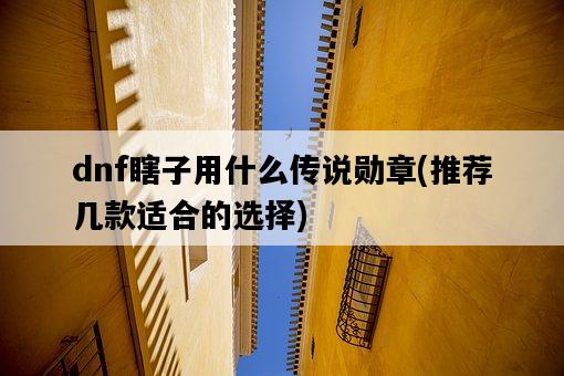 dnf瞎子用什么傳說勛章，推薦幾款適合的選擇-圖1