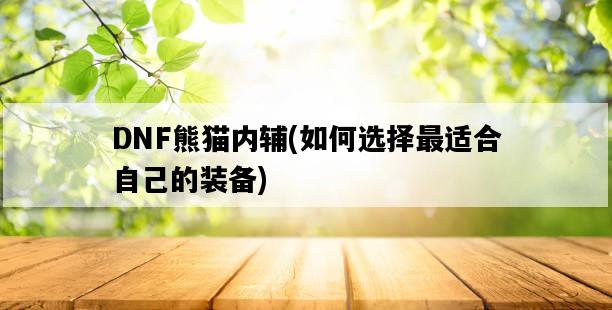 DNF熊貓內輔，如何選擇最適合自己的裝備-圖1