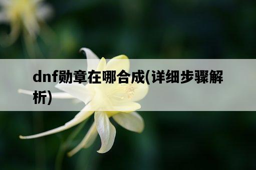 dnf勛章在哪合成，詳細步驟解析-圖1
