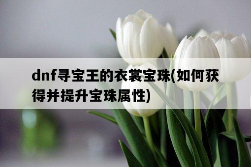 dnf尋寶王的衣裳寶珠，如何獲得并提升寶珠屬性-圖1
