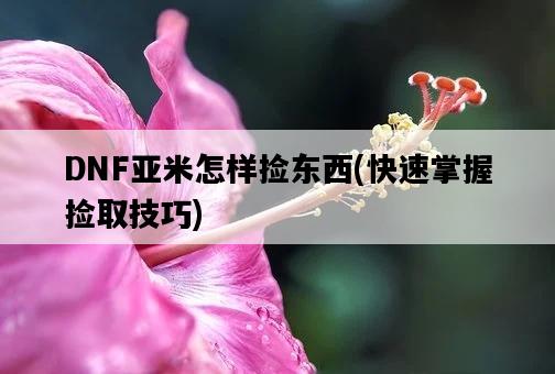 DNF亞米怎樣撿東西，快速掌握撿取技巧-圖1