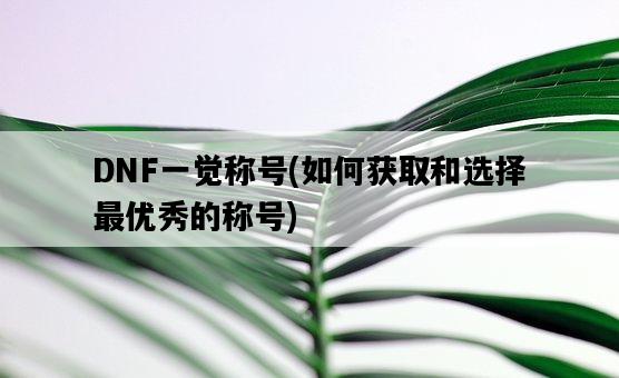 DNF一覺稱號,如何獲取和選擇最優秀的稱號-圖1 DNF一覺稱號,如何獲取和選擇最優秀的稱號-圖1