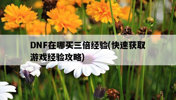 DNF在哪買三倍經驗，快速獲取游戲經驗攻略-圖1