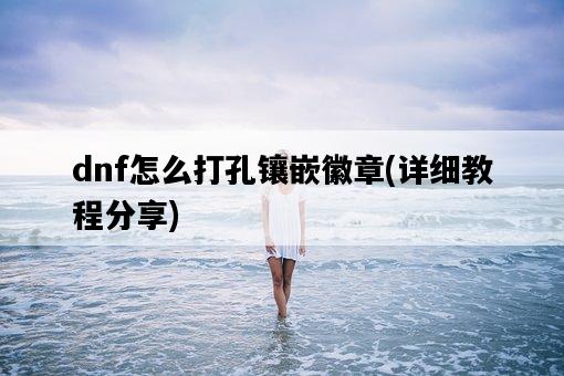 dnf怎么打孔鑲嵌徽章，詳細教程分享-圖1