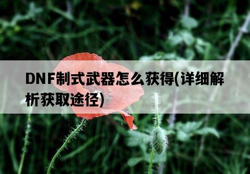 DNF制式武器怎么獲得，詳細解析獲取途徑-圖1