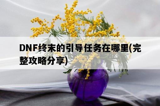 DNF終末的引導任務在哪里，完整攻略分享-圖1