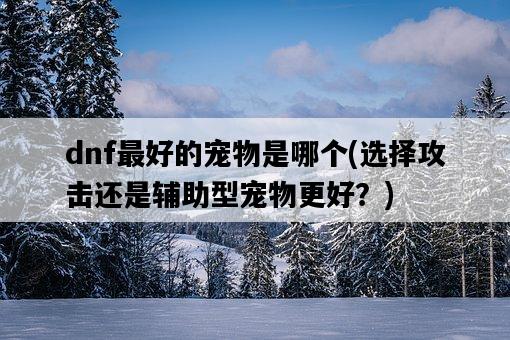 dnf最好的寵物是哪個，選擇攻擊還是輔助型寵物更好？-圖1