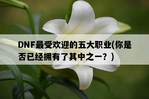 DNF最受歡迎的五大職業，你是否已經擁有了其中之一？-圖1