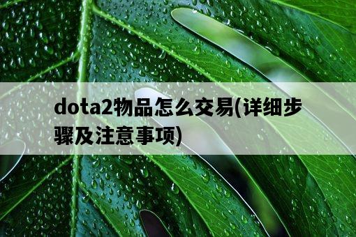 dota2物品怎么交易，詳細步驟及注意事項-圖1