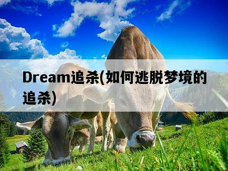 Dream追殺，如何逃脫夢境的追殺-圖1