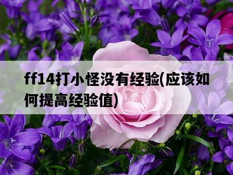 ff14打小怪沒有經驗，應該如何提高經驗值-圖1