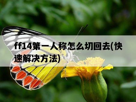 ff14第一人稱怎么切回去，快速解決方法-圖1