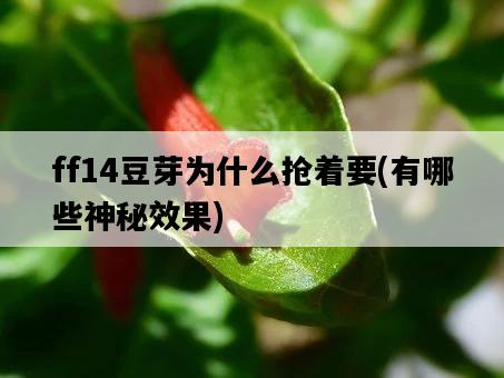 ff14豆芽為什么搶著要，有哪些神秘效果-圖1