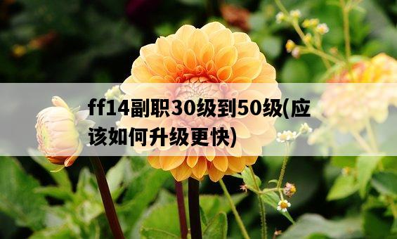 ff14副職30級到50級，應該如何升級更快-圖1
