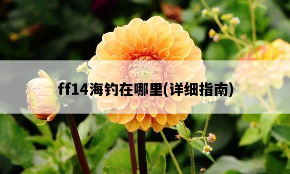 ff14海釣在哪里,詳細指南-圖1 ff14海釣在哪里,詳細指南-圖1