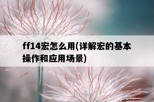 ff14宏怎么用，詳解宏的基本操作和應用場景-圖1