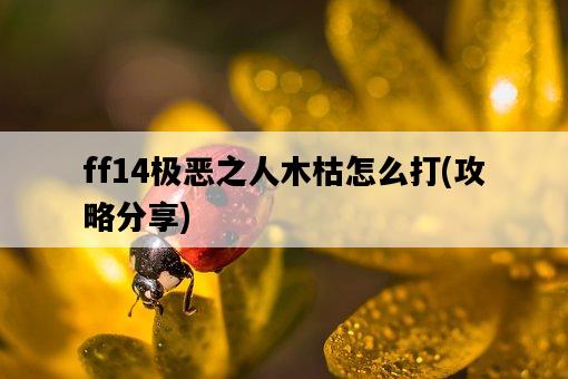 ff14極惡之人木枯怎么打，攻略分享-圖1