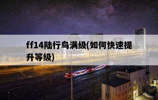 ff14陸行鳥滿級，如何快速提升等級-圖1