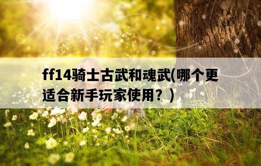 ff14騎士古武和魂武，哪個更適合新手玩家使用？-圖1