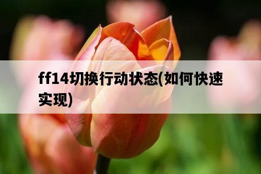 ff14切換行動狀態，如何快速實現-圖1