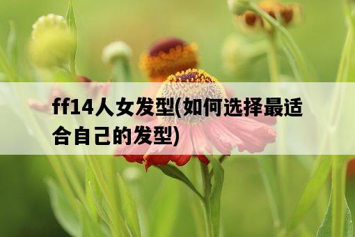 ff14人女發型，如何選擇最適合自己的發型-圖1