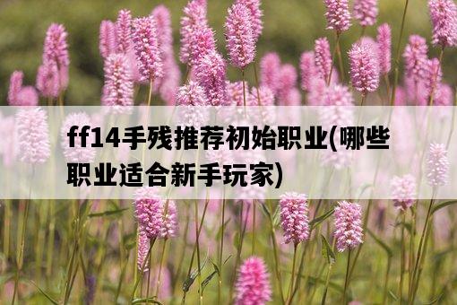 ff14手殘推薦初始職業，哪些職業適合新手玩家-圖1