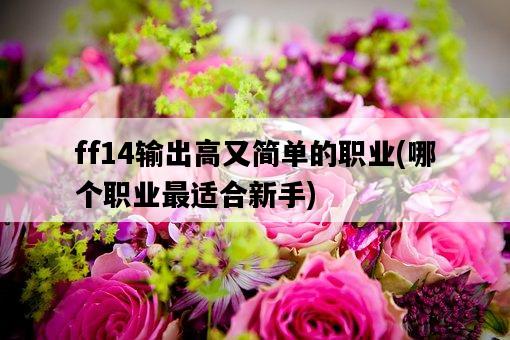 ff14輸出高又簡單的職業，哪個職業最適合新手-圖1