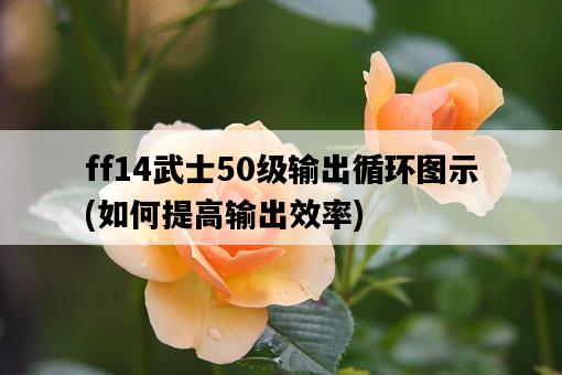 ff14武士50級輸出循環圖示，如何提高輸出效率-圖1