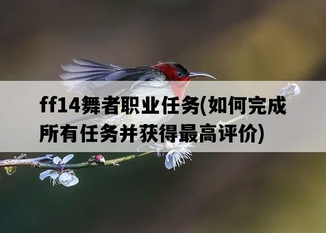 ff14舞者職業任務，如何完成所有任務并獲得最高評價-圖1