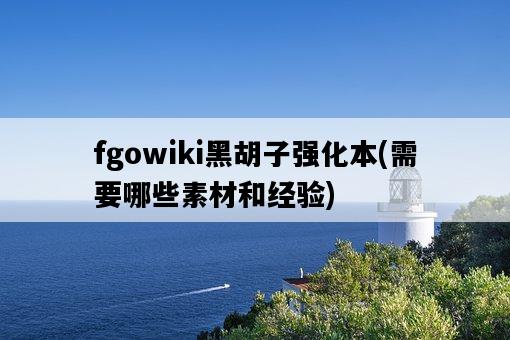 fgowiki黑胡子強化本，需要哪些素材和經驗-圖1