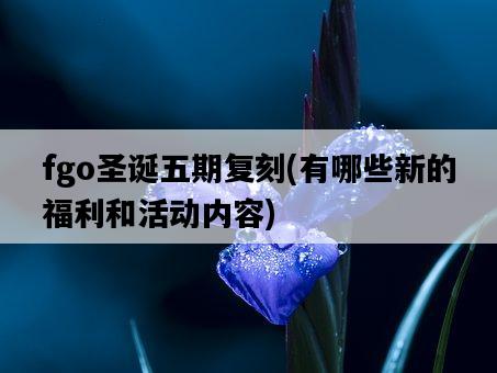 fgo圣誕五期復刻，有哪些新的福利和活動內容-圖1