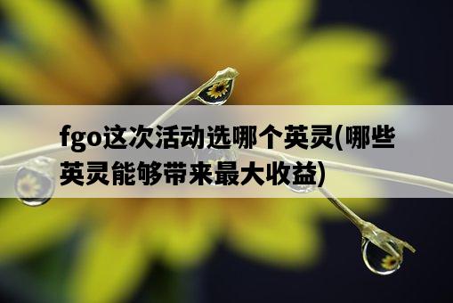 fgo這次活動選哪個英靈，哪些英靈能夠帶來最大收益-圖1