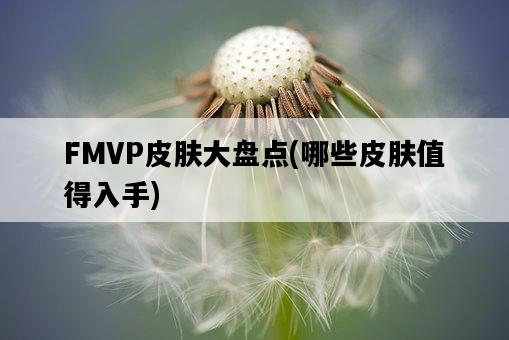 FMVP皮膚大盤點，哪些皮膚值得入手-圖1