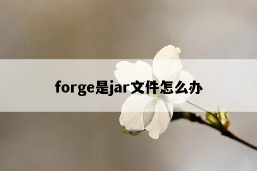 forge是jar文件怎么辦-圖1