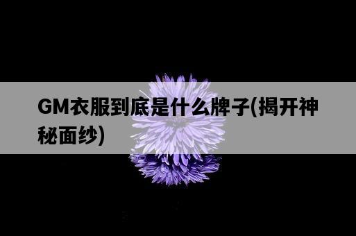 GM衣服到底是什么牌子，揭開神秘面紗-圖1