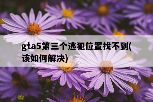 gta5第三個逃犯位置找不到，該如何解決-圖1