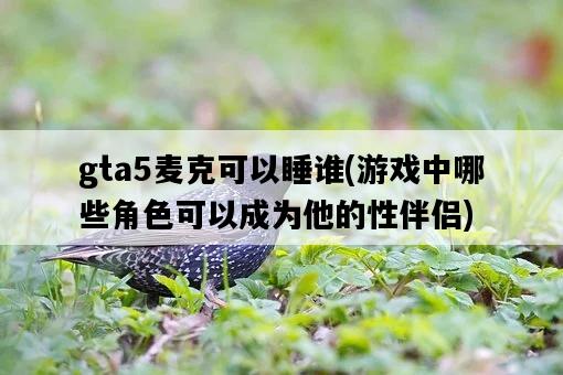 gta5麥克可以睡誰，游戲中哪些角色可以成為他的性伴侶-圖1