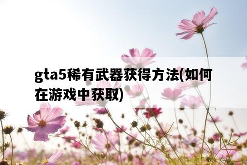 gta5稀有武器獲得方法，如何在游戲中獲取-圖1