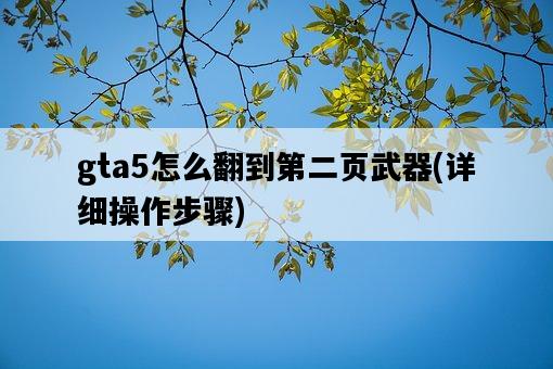 gta5怎么翻到第二頁武器，詳細操作步驟-圖1