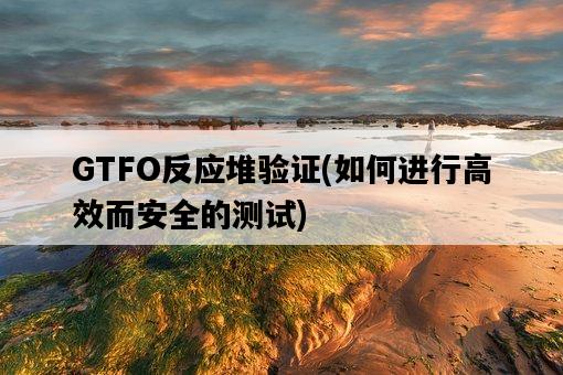 GTFO反應堆驗證，如何進行高效而安全的測試-圖1