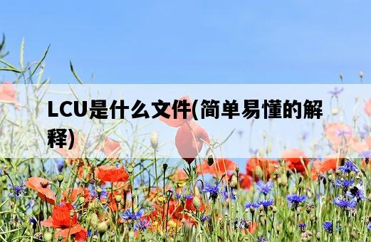 LCU是什么文件，簡單易懂的解釋-圖1