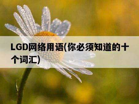 LGD網絡用語，你必須知道的十個詞匯-圖1
