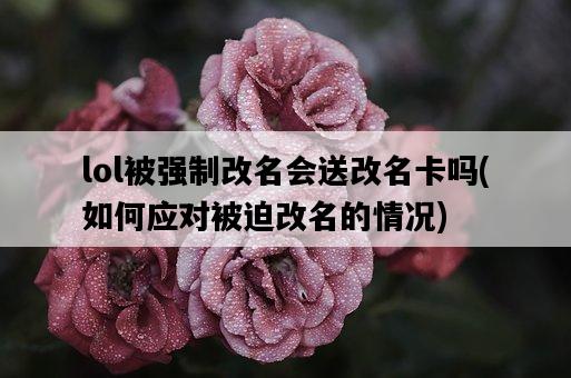 lol被強制改名會送改名卡嗎，如何應對被迫改名的情況-圖1