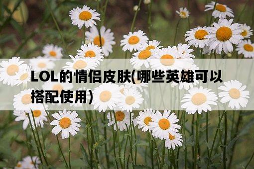 LOL的情侶皮膚，哪些英雄可以搭配使用-圖1