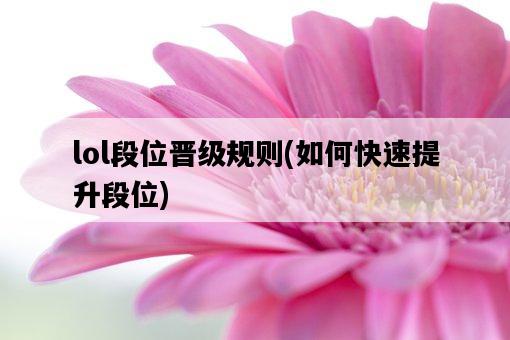 lol段位晉級規則,如何快速提升段位-圖1 lol段位晉級規則,如何快速提升段位-圖1