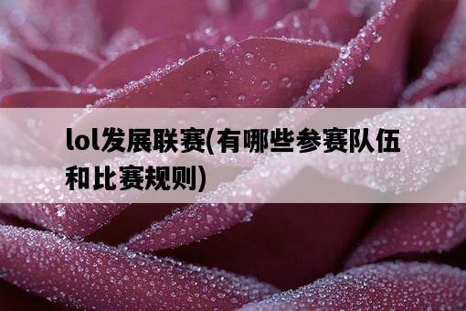 lol發展聯賽,有哪些參賽隊伍和比賽規則-圖1 lol發展聯賽,有哪些參賽隊伍和比賽規則-圖1