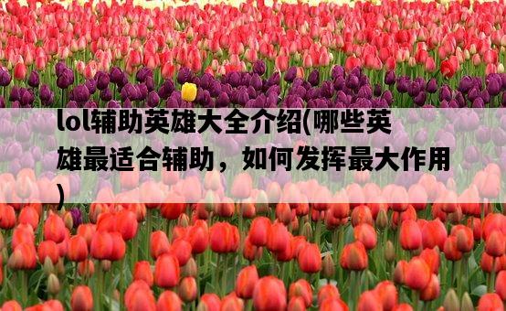 lol輔助英雄大全介紹，哪些英雄最適合輔助，如何發揮最大作用-圖1