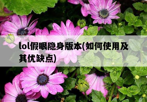 lol假眼隱身版本，如何使用及其優缺點-圖1