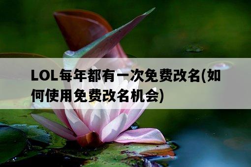 LOL每年都有一次免費改名，如何使用免費改名機會-圖1