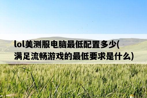 lol美測服電腦最低配置多少,滿足流暢游戲的最低要求是什么-圖1 lol美測服電腦最低配置多少,滿足流暢游戲的最低要求是什么-圖1